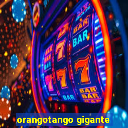 orangotango gigante